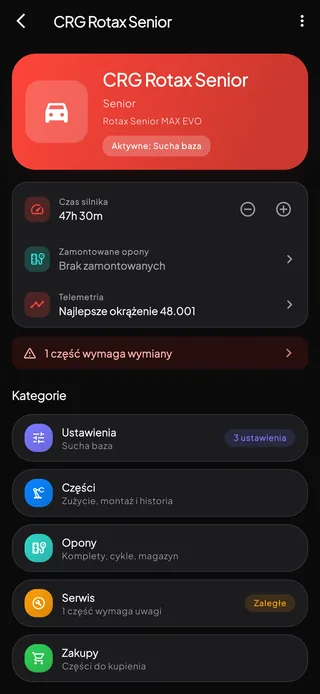 Ekran szczegółów gokarta z informacjami o silniku, ramie i kategorii oraz bieżącym statusem.